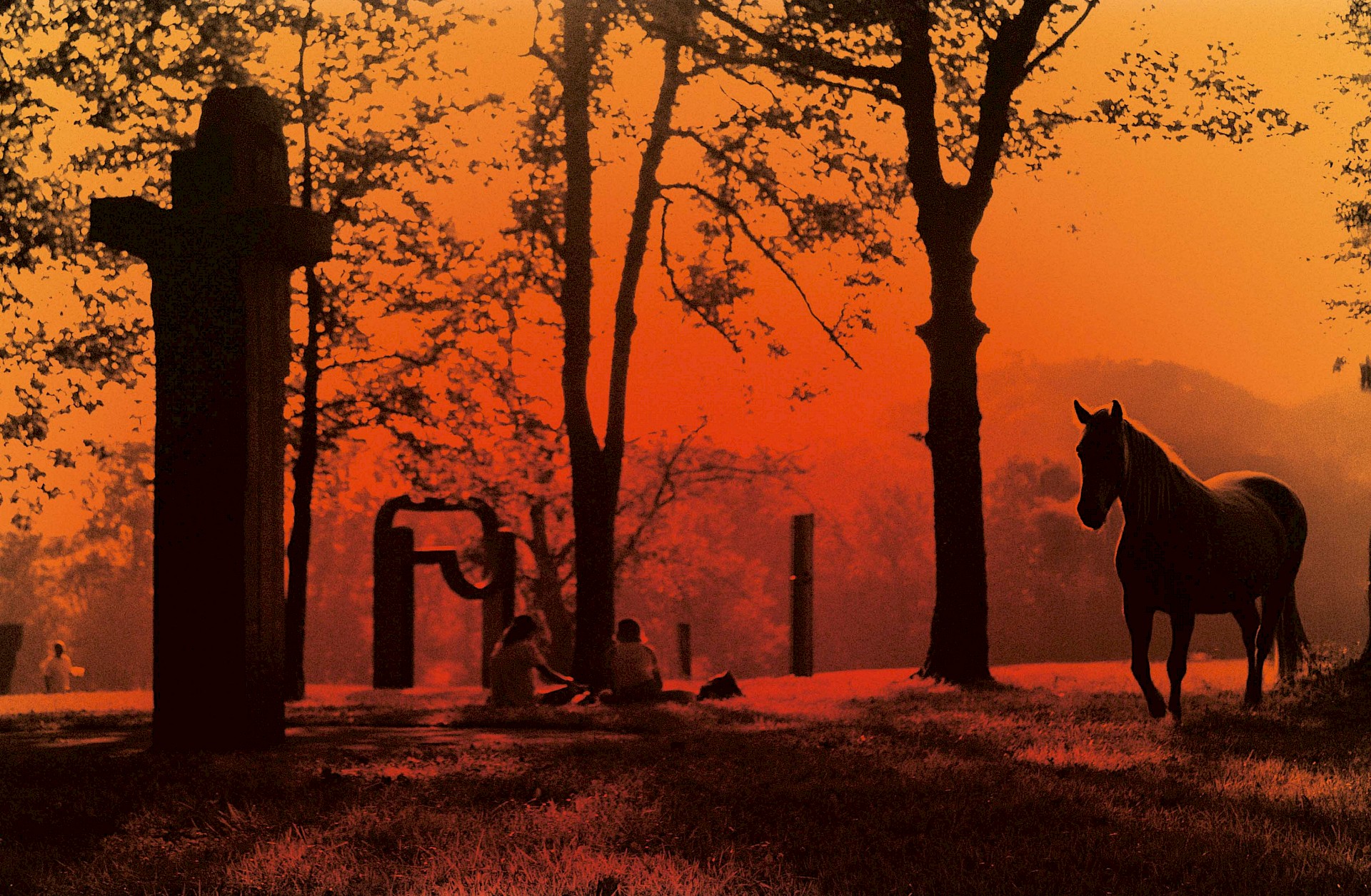 <p><strong>Solsticio de verano</strong><br /><br />
Sábado 20 de junio</p>